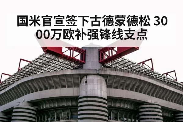 国米官宣签下古德蒙德松 3000万欧补强锋线支点